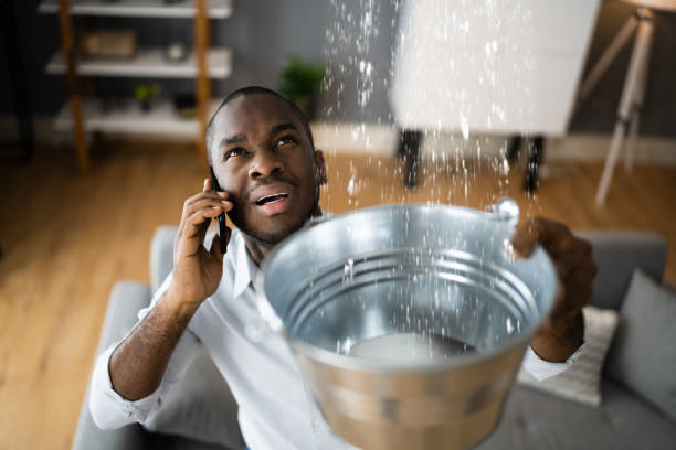 Best Basement water damage restoration  in Grandview, WA