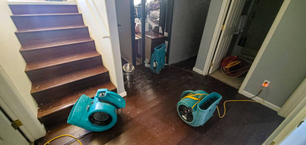 Best Flood damage cleanup  in Grandview, WA