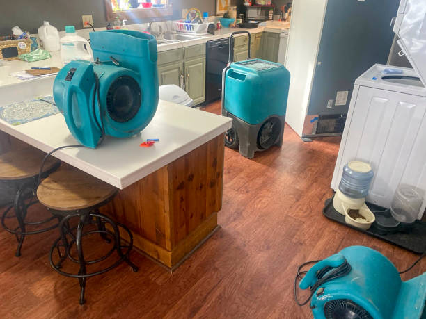 Best Water damage cleanup near me  in Grandview, WA