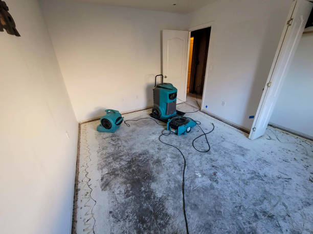 Best Flood restoration services  in Grandview, WA