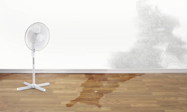 Best 24/7 water damage repair  in Grandview, WA