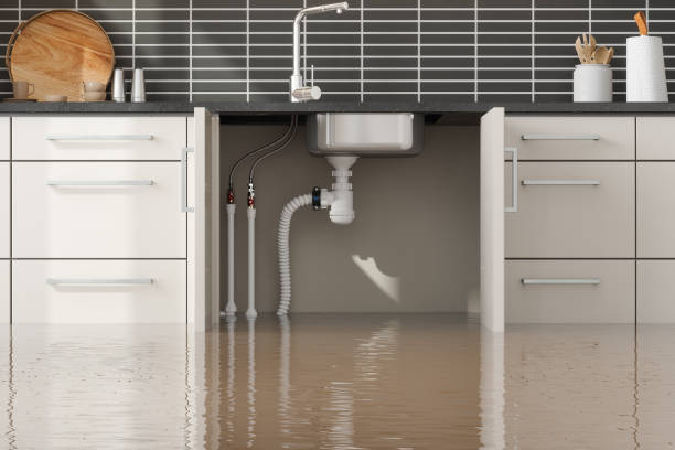 Best Flooded house restoration  in Grandview, WA