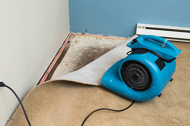 Best Local water damage restoration  in Grandview, WA